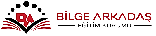 Bilge Arkadaş Eğitim